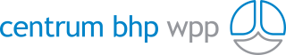 Centrum BHP WPP | DOZAMEL sp. z o.o. Logo